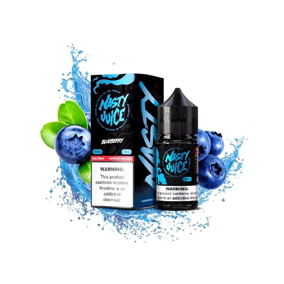 سالت بلوبری یخ نستی Nasty Blueberry Ice